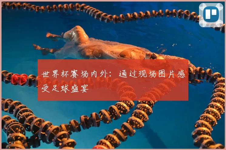 世界杯赛场内外：通过现场图片感受足球盛宴