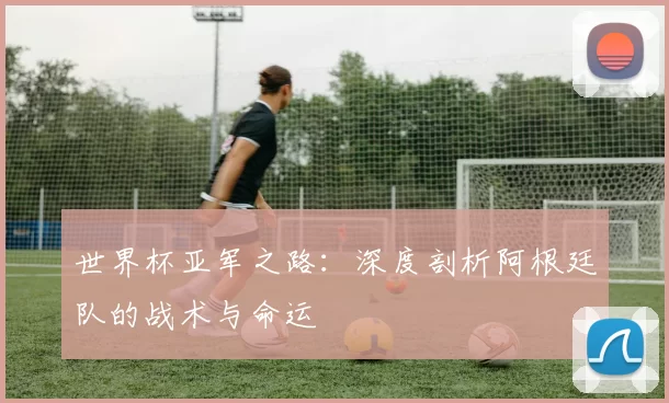 世界杯亚军之路：深度剖析阿根廷队的战术与命运