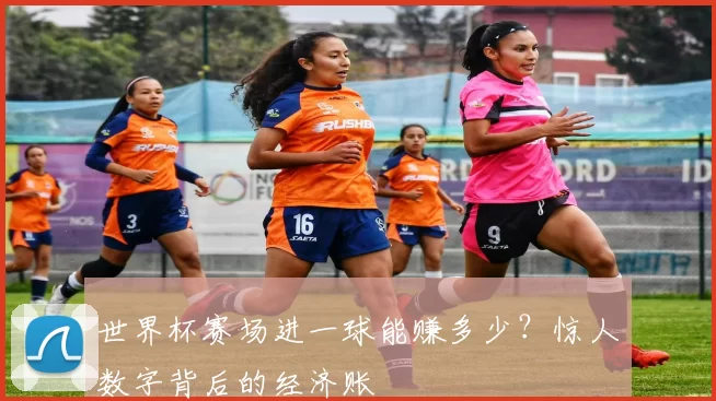 世界杯赛场进一球能赚多少？惊人数字背后的经济账