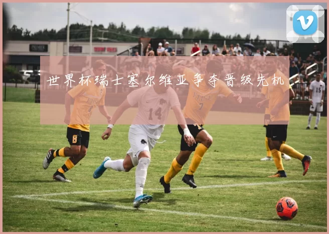 世界杯瑞士塞尔维亚争夺晋级先机