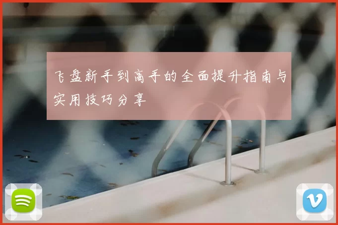 飞盘新手到高手的全面提升指南与实用技巧分享