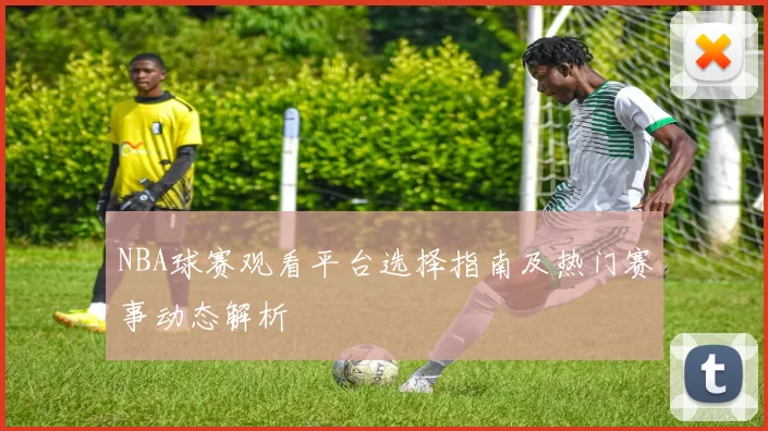 NBA球赛观看平台选择指南及热门赛事动态解析