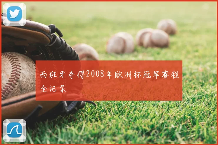 西班牙夺得2008年欧洲杯冠军赛程全记录