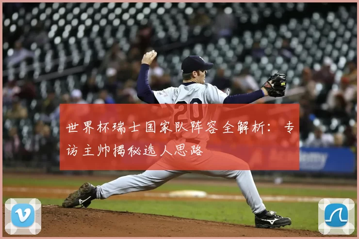 世界杯瑞士国家队阵容全解析：专访主帅揭秘选人思路