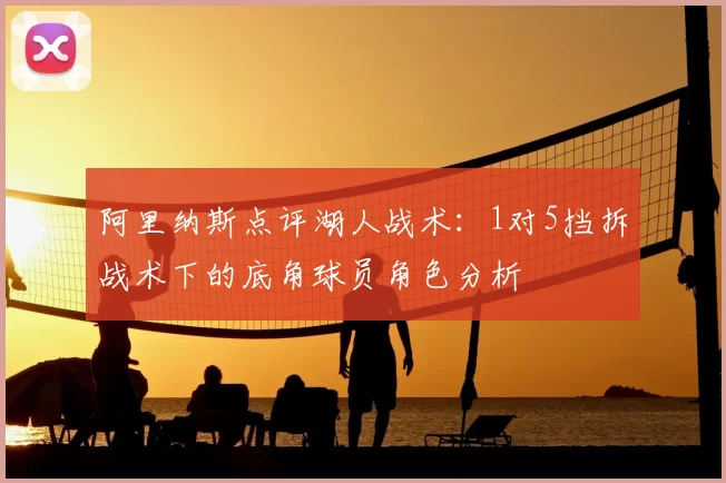 阿里纳斯点评湖人战术：1对5挡拆战术下的底角球员角色分析