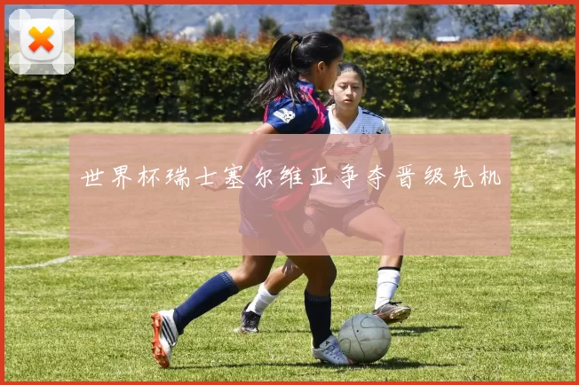 世界杯瑞士塞尔维亚争夺晋级先机